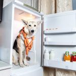 Accessories and Improvements