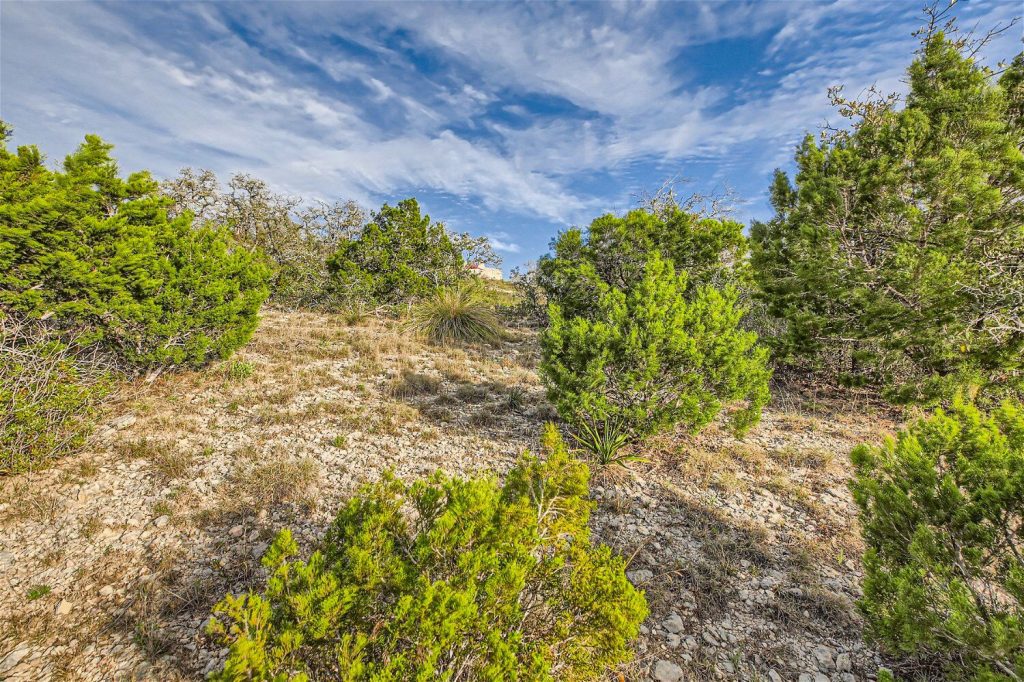 Terra Mont Neighborhood