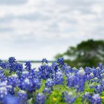 Best States To Make A Living