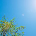 Lakeside at Canyon Springs