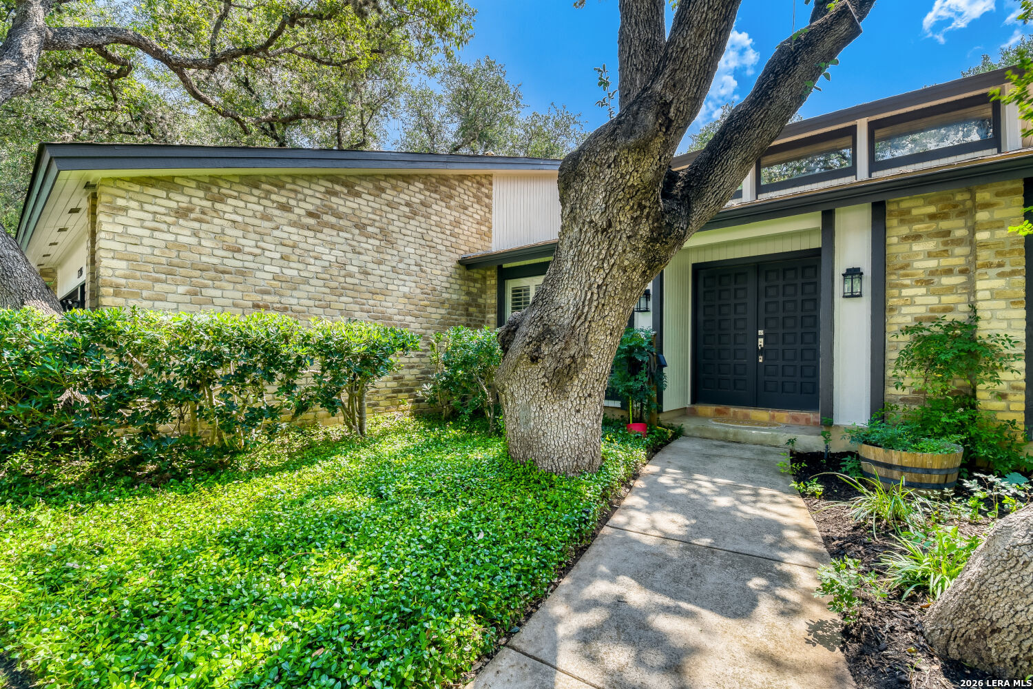 13914 Sugarberry Woods Street